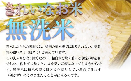 令和7年産　純情米いわて　無洗米　岩手県産　ひとめぼれ　5kg_イメージ3