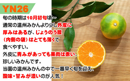 ゆら早生みかん 又は YN26(小粒3kg２S～３Sサイズ) 【2025年10月中旬より順次発送】鈴木農園より農園直送 ゆら早生みかん ２S 小粒サイズ ゆら早生みかん ２S 小粒サイズ ゆら早生みか