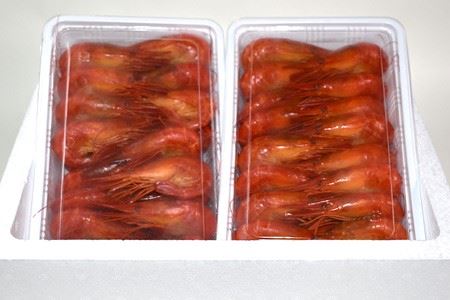 【北海道根室産】しまえび500g(32～46尾)×2P(計1kg) B-24003