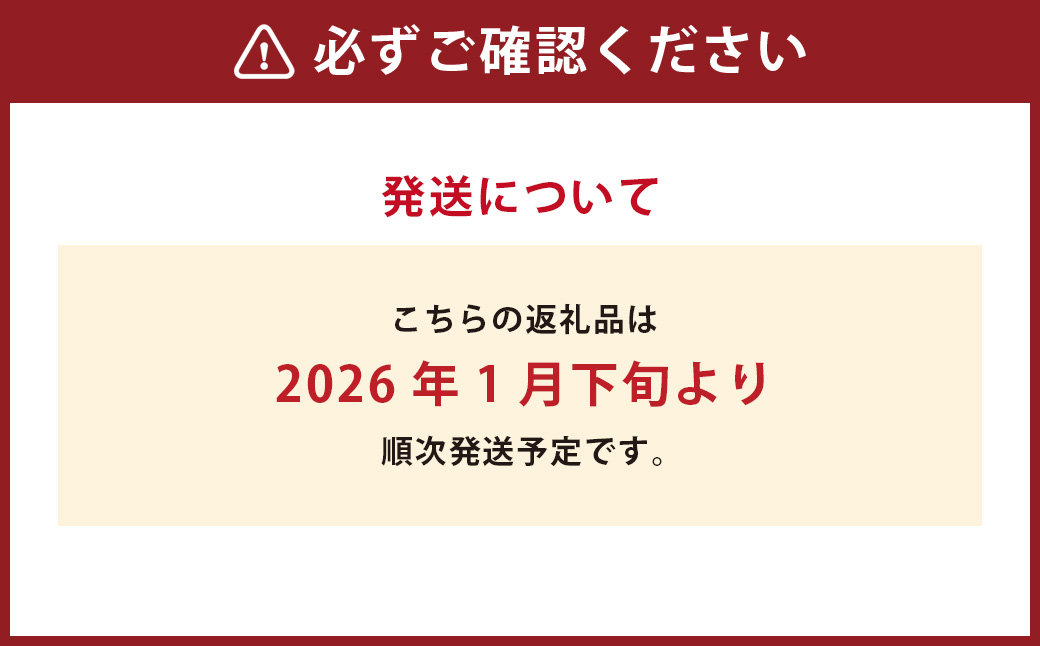 A270 山川みかん缶詰 12缶セット 【2026年1月下旬以降順次発送予定】