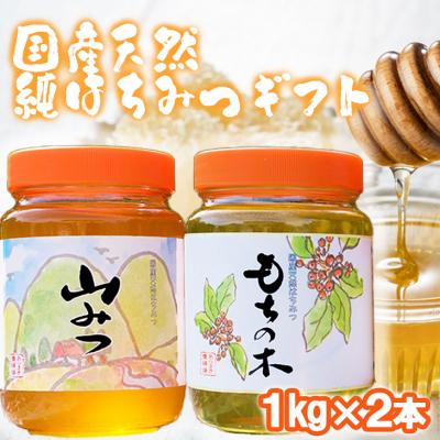 ふるさと納税 小郡市 はちみつ 化粧箱入り 1kg×2本セット もちのき&amp;やまみつ ギフト[No5354-0318]
