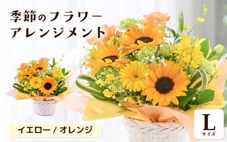 季節のフラワーアレンジメント L (イエロー・オレンジ) 花束 生花 プレゼント [B-20713_02]