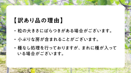 訳あり シャインマスカット 約 1.5kg (2～4房)( 茨城県共通返礼品：石岡市 )