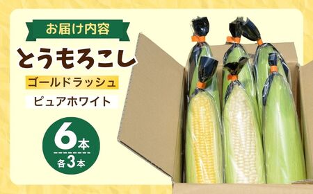 とうもろこし ゴールドラッシュ ピュアホワイト 食べ比べ 6本 | とうもろこし とうもろこし とうもろこし とうもろこし とうもろこし