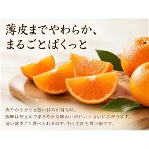 【日高町】紀州和歌山有田産ポンカン　5kg【1217367】