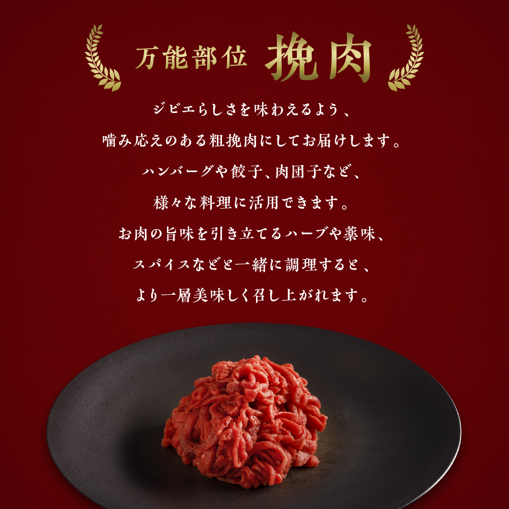 大槌鹿 粗挽肉 600g【ハンバーグ・餃子・ミートボールに】岩手県産 天然鹿 鹿肉 挽肉 ミンチ ジビエ ヘルシー 低カロリー 冷凍 赤身