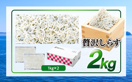 しらす 2kg ( 1kg × 2箱 ) 冷凍 贅沢 ちりめん しらす干し 減塩 極み ごはん 丼 パスタ チャーハン サラダ 魚 料理 山庄 愛知県 南知多町 師崎