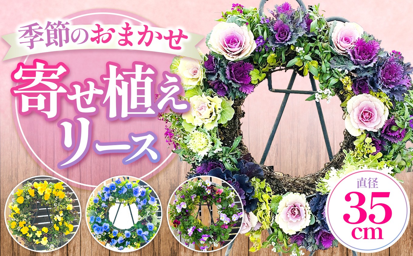 
                  季節のお花の寄せ植えリース35センチ | 季節 四季 春夏秋冬 花 フラワー リース 寄せ植え 花苗 便利 水やり 管理 簡単 長持ち インテリア エクステリア 飾り 彩り 華やか 癒し きれい かわいい 兵庫県 上郡町
                