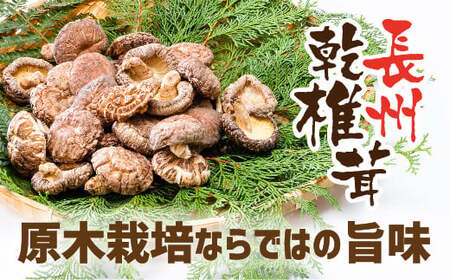 E092 長州乾椎茸セット(ホール35g×2袋＋スライス28g×1袋)
