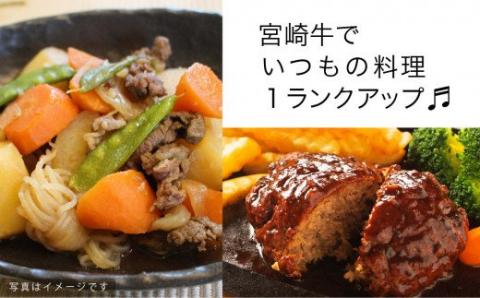 宮崎牛 こま肉＆ミンチセット 1kg【肉 牛肉 国産 黒毛和牛 肉質等級4等級以上 4等級 5等級 牛ミンチ 牛小間 ハンバーグ 炒め物 肉じゃが 普段使い】