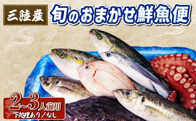 
鮮魚便 旬の三陸 お魚セット便 (下処理あり/なし) 天然 鮮魚 魚 おまかせ 季節 産地直送 詰め合わせ 三陸産 岩手県 大船渡市
