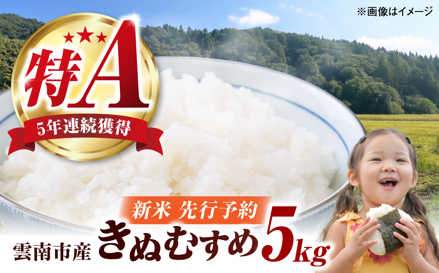 【先行予約】【100個限定】【2026年10月以降発送】新米 雲南市産きぬむすめ5kg 島根県雲南市/なべやまらいす株式会社 [AIER001]