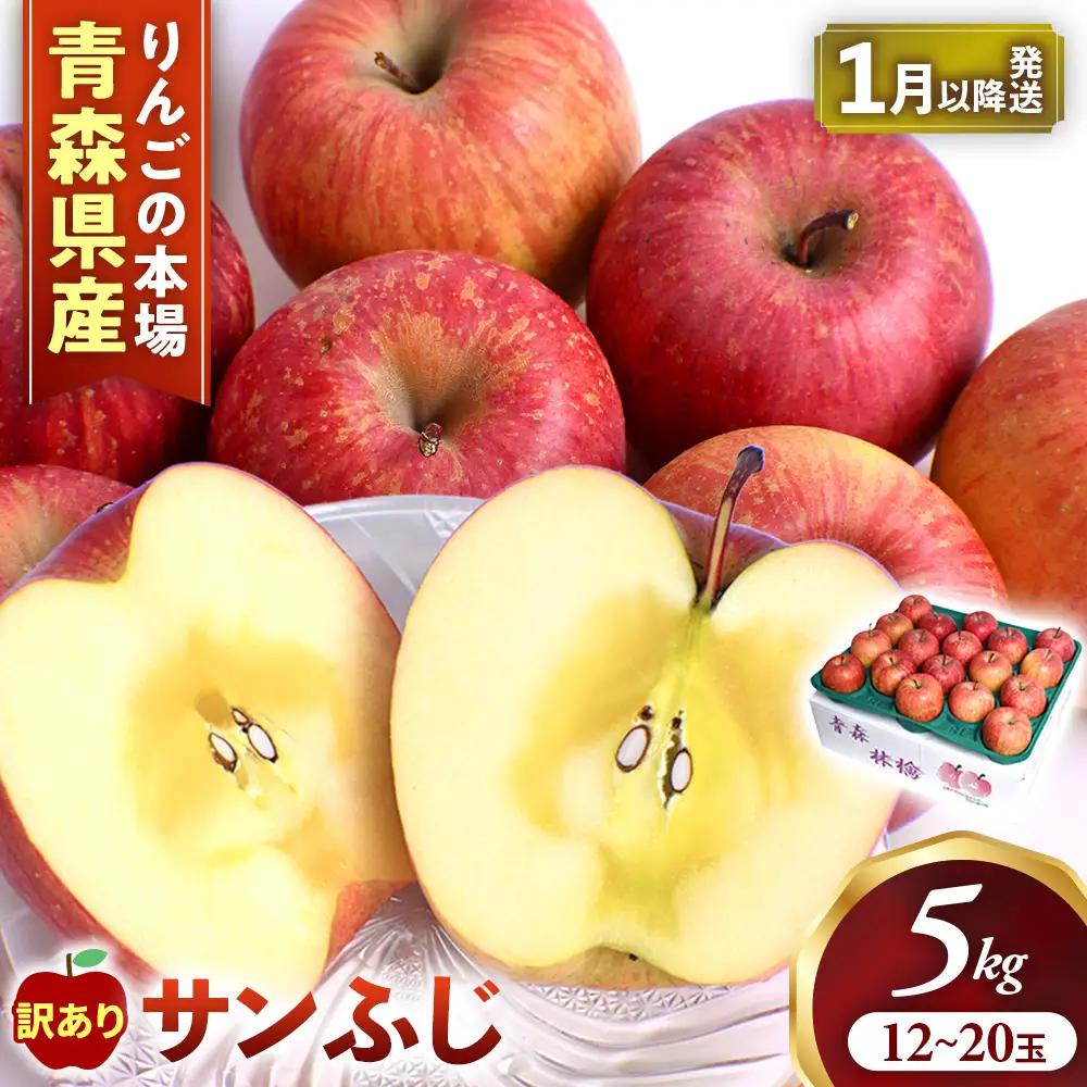【訳あり】 青森県産りんご サンふじ 約5kg 1月～ りんご