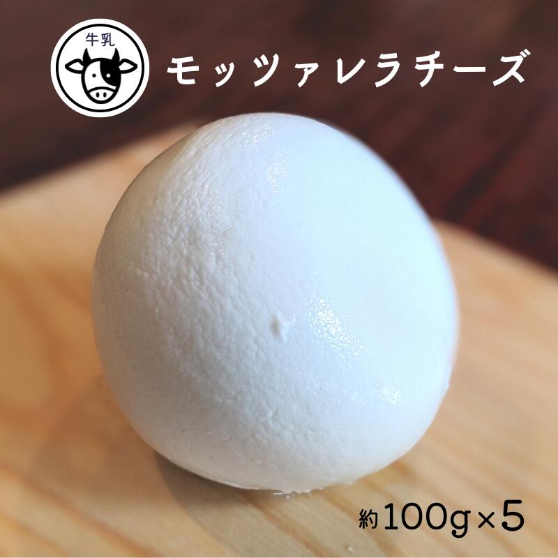 【ふるさと納税】【11月〜3月限定・牛乳】モッツァレラチーズ 約100g×5パック