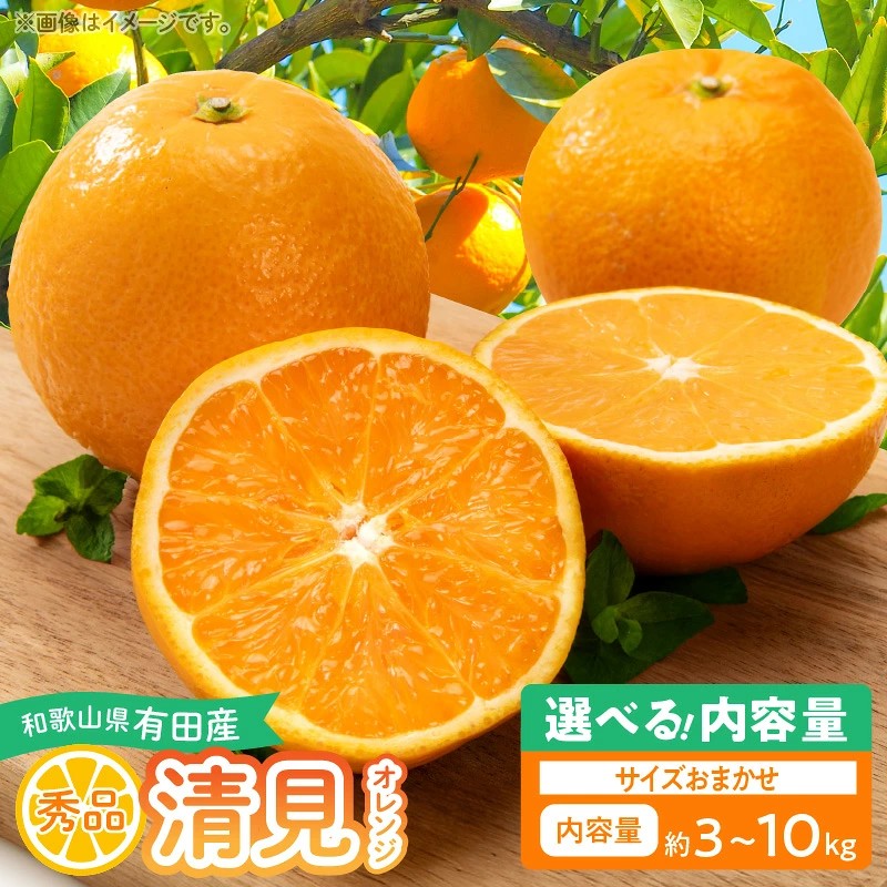 【ふるさと納税】【2027年先行予約】 清見オレンジ 秀品 選べる 内容量 約3kg 約5kg 約10kg サイズおまかせ サイズ混合 果物 フルーツ おやつ デザート お取り寄せ 和歌山県有田産 和歌山県 湯浅町 送料無料