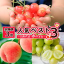 【ふるさと納税】【定期便3回】人気ベスト3 ～山形代表 赤の宝石～【令和6年産先行予約】FS23-872