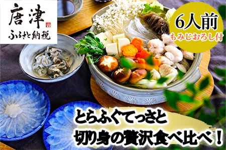 唐津産 とらふぐてっさと切り身の贅沢食べ比べ！6人前「2023年 令和5年」