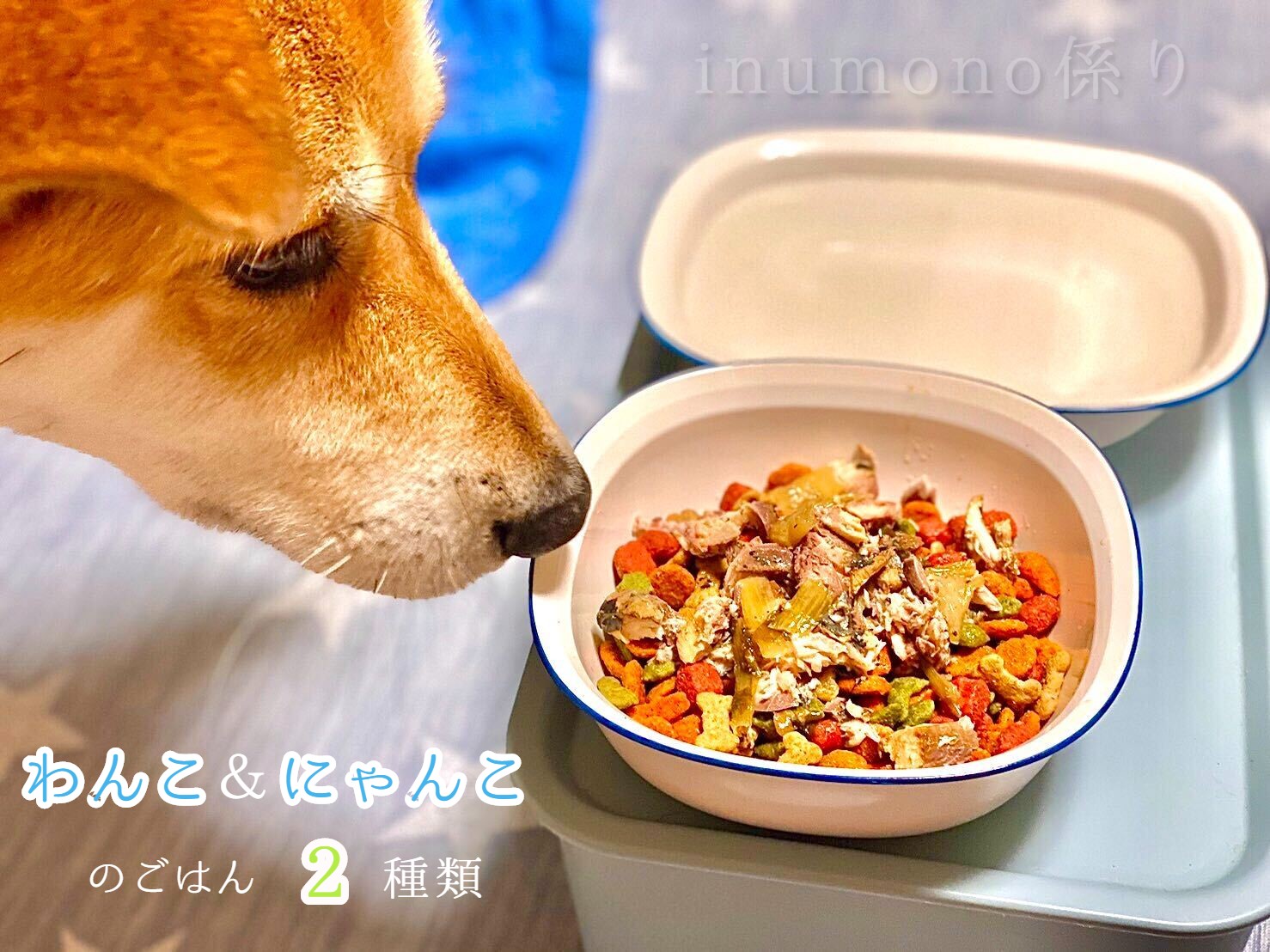 自然食材 ペットフード 2種類 4袋  安心安全 犬猫用 パウチ レトルト ペット用品 ワンコとニャンコのご飯