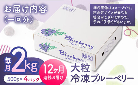 先行予約 【12回定期便】大粒 冷凍ブルーベリー 約2000g（約500g×4pc）【すみれファーム】果物 フルーツ くだもの 大粒 小分け 熊本県産ブルーベリー [ZEP018]