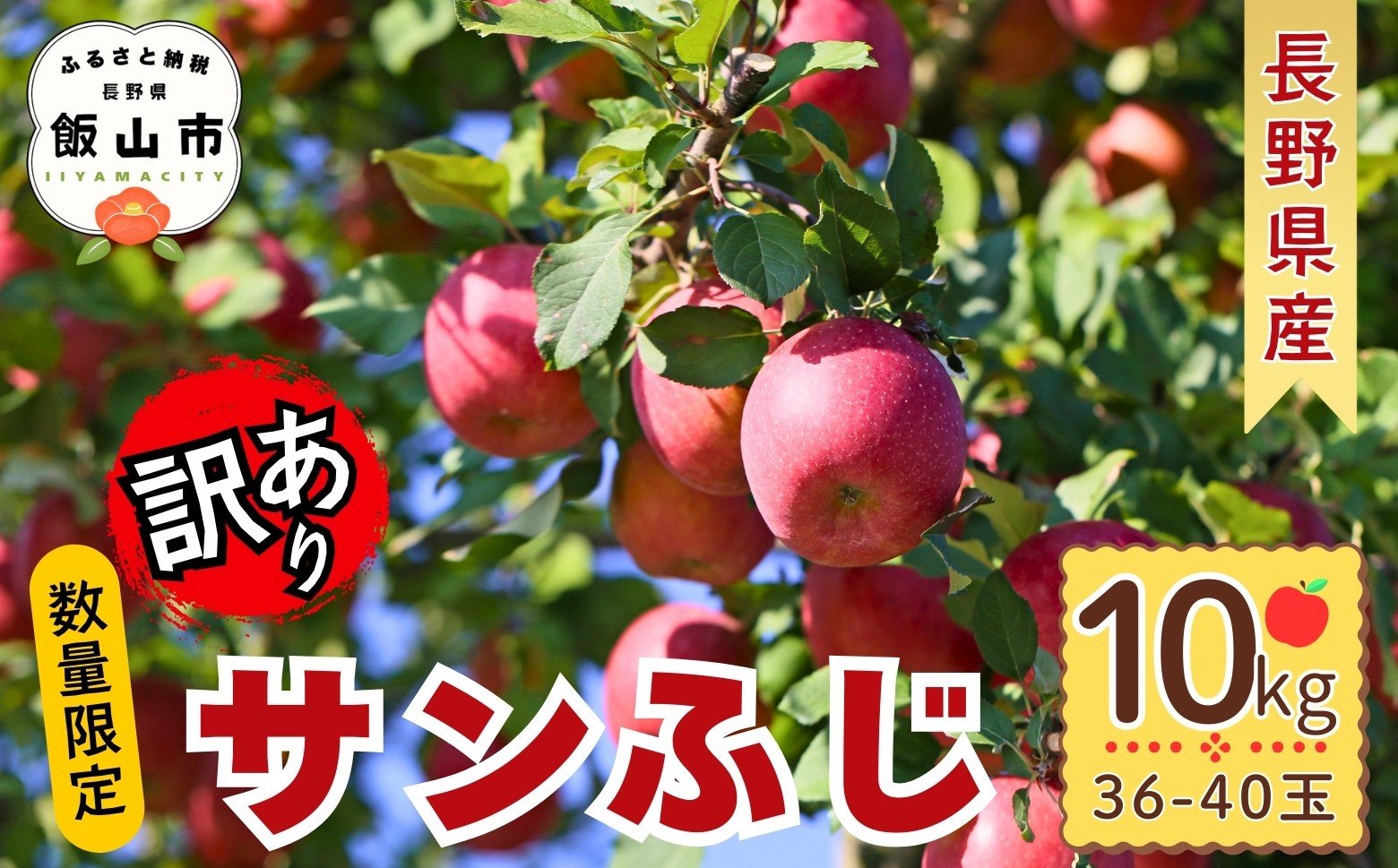 
            《 12月25日までのご入金で年内発送 》 2025年産 訳あり サンふじ  約10kg （36~40玉）【数量限定】（Bc-005） |  りんご リンゴ 信州 ふじ さんふじ 美味しい オススメ  長野県 飯山市
          