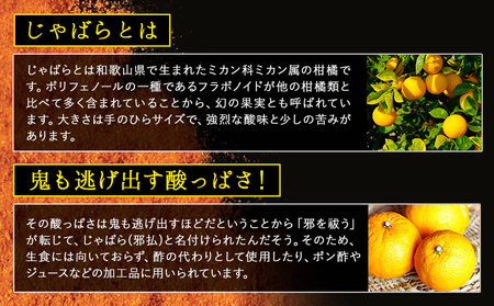 神三味 1袋 10g 株式会社しおん 