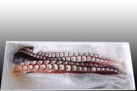 【北海道根室産】お刺身用たこ足2本(計2～2.5kg) C-70068