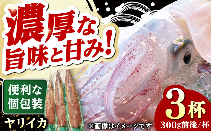 
            対馬産 ヤリイカ 3杯 ≪対馬市≫【エムズスタイル】 新鮮 冷凍発送 やりいか 刺身 海鮮 [WCN004]
          