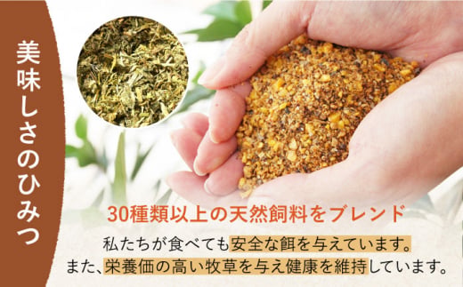 平飼い もみじ の 高級 たまご 新鮮 産みたて卵 20個【野中鶏卵】[OAC014] / 卵 長持ち 濃厚 玉子 濃厚 卵料理 タマゴ 鶏卵 オムレツ 卵かけご飯 卵焼き