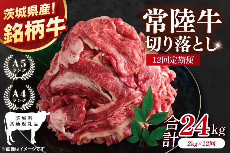 
            【茨城県共通返礼品】【12ヶ月定期便】大容量！常陸牛切り落とし 2kg（500g×4）【黒毛和牛 国産 銘柄牛 牛肉 肉 冷凍 茨城県産】(81-37)
          