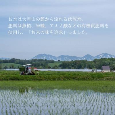 ふるさと納税 美瑛町 【令和7年産】朝日の豊栄米 ゆめぴりか 2kg  Greens Farm Yamazaki |  | 01