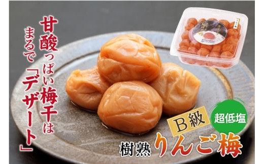 
            徳用　りんご梅 (1.5kg×1箱）【Kn10】
          