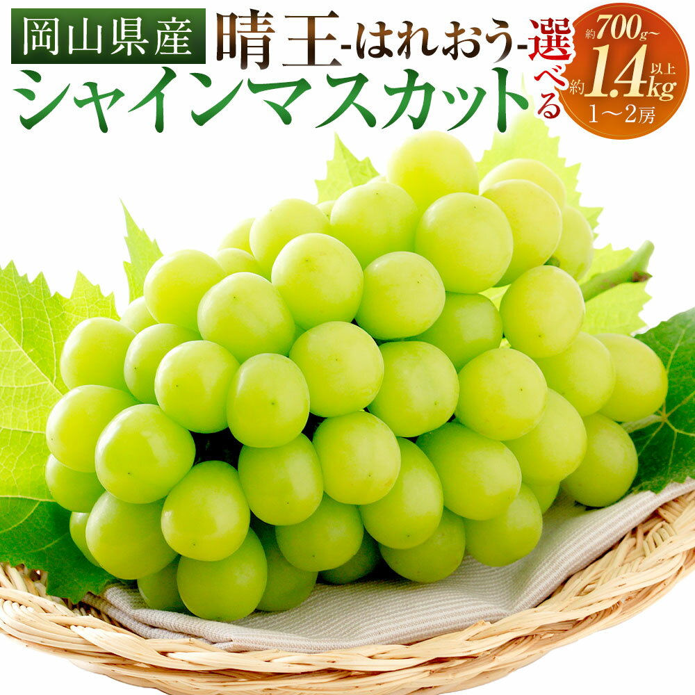 【ふるさと納税】シャインマスカット 晴王 1房（700g以上） ぶどう ブドウ 葡萄 くだもの 果物 果実 フルーツ 高糖度 大粒 種なし 皮ごと お子様 ご年配 冷蔵 岡山県産 国産 岡山県 奈義町 送料無料 【2026年9月上旬～10月上旬 発送予定】