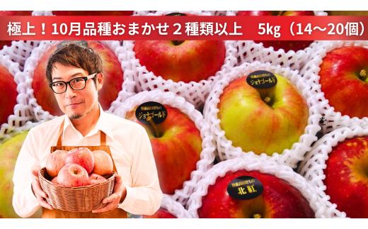 米崎りんご ぎゅっとセット 5kg 品種おまかせ 2種類以上お届け 【 りんご 旬 お届け 岩手 陸前高田 】 RT2059