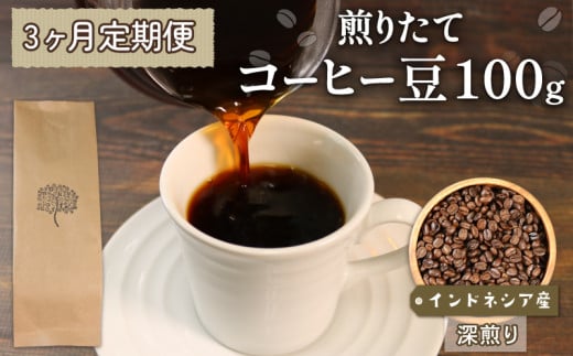 【3ヶ月/定期便】 自家焙煎 コーヒー 豆 100g インドネシア 深煎り