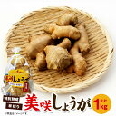 【ふるさと納税】美咲しょうが 約1kg 生姜 しょうが ジンジャー ガリ 薬味 国産 野菜 国産 岡山県 美咲町 送料無料