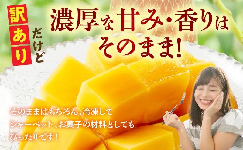 訳あり 宮崎県産 完熟マンゴー 合計約1.5kg（3～5玉）_b0983_ww