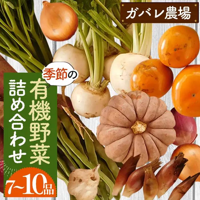 ガバレ農場の季節の有機野菜詰め合わせセット No.058