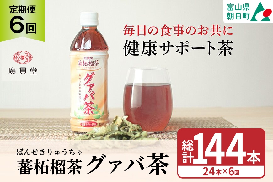 
                  お茶 定期便 グァバ茶 500ml 24本 1ケース 6回 計144本 [広貫堂 富山県 朝日町 34310590] グアバ ノンカフェイン カロリーゼロ 健康茶 ケース 箱 リピート 黒部名水 500ml 定期
                