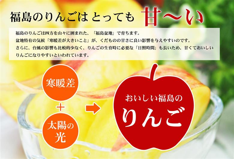 No.2770 ふくしまのサンふじりんご　約1kg 【2026年度発送】