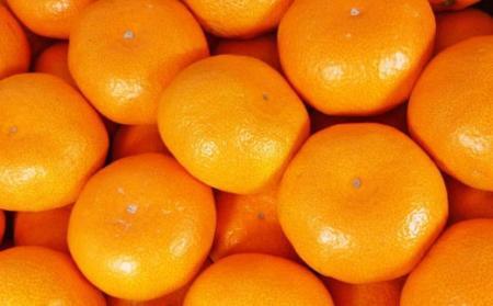 [秀品]有田のブランド「賢みかん」5kg(Mサイズ) 【2024年11月中旬頃より順次発送】