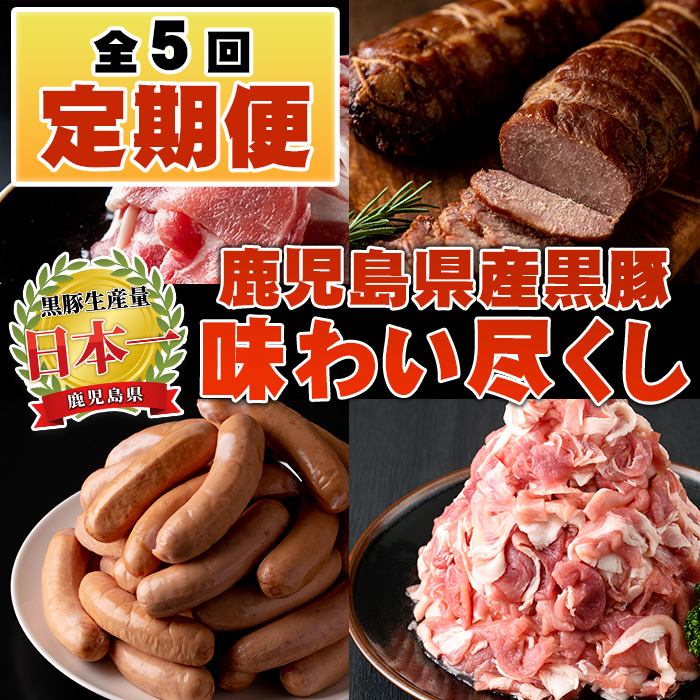No.725 ＜定期便・全5回(連続)＞鹿児島産黒豚味わい尽くしコース(黒豚味噌漬けや炭焼き焼豚、ウインナー、切り落とし肉、フランクフルト、黒豚ロース肉)国産 【コワダヤ】