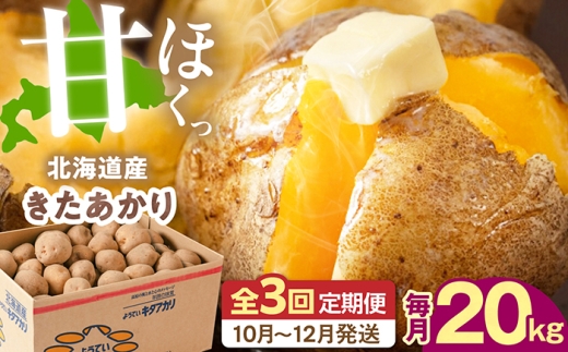 【全3回定期便】【10月～12月発送】じゃがいも キタアカリ 20kg 《喜茂別町》【Aコープようてい】 じゃがいも いも きたあかり 芋 ジャガイモ イモ 野菜 北海道 ポテト 国産 産地直送 [AJAK020]