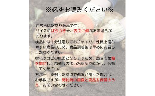 訳あり　じゃがいも10kg　【北あかり】
