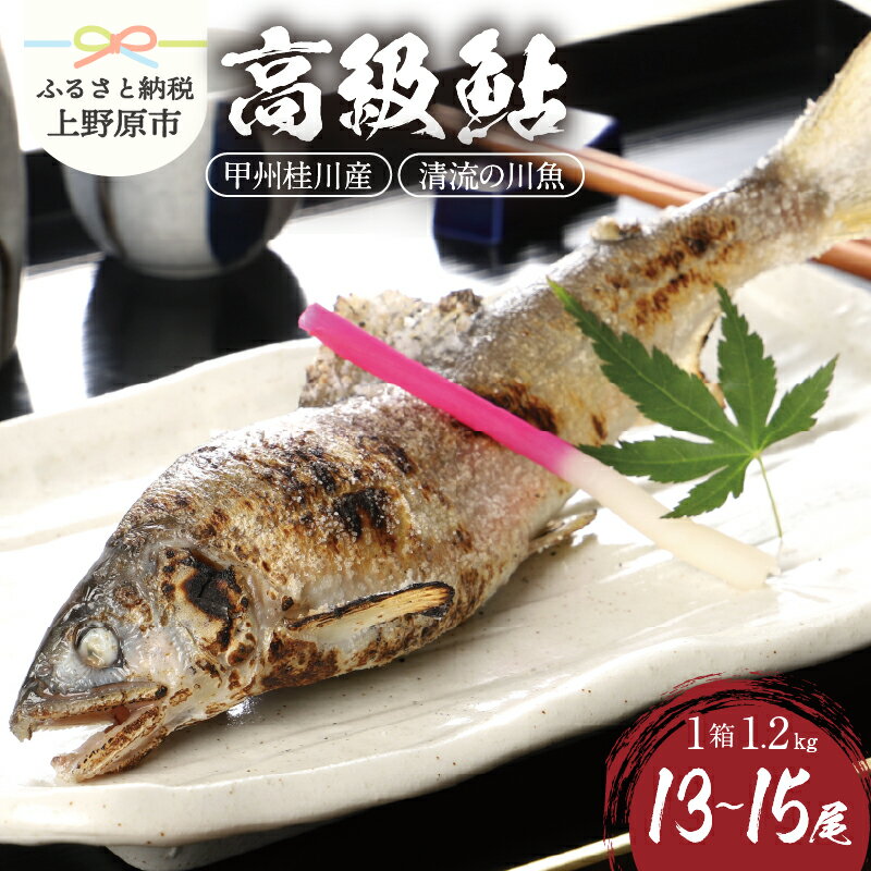 【ふるさと納税】 魚 川魚 鮎 あゆ 桂川 甲州桂川の鮎(Aセット) 1.2kg (13〜15尾) 鮮魚 清流 塩焼き 甘露煮 贈答 贈り物 送料無料 ※沖縄県、離島不可 山梨県 上野原市