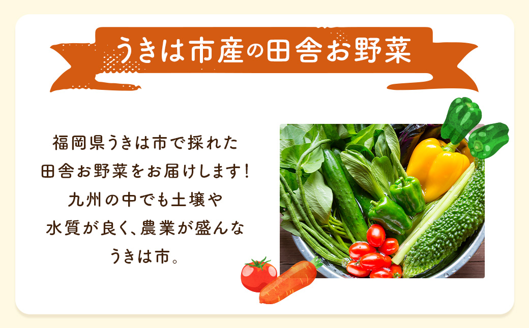 【お試し定期便】UIC 名水うきはの無農薬減農薬お野菜セット (ひと月1箱×2か月=計2回)