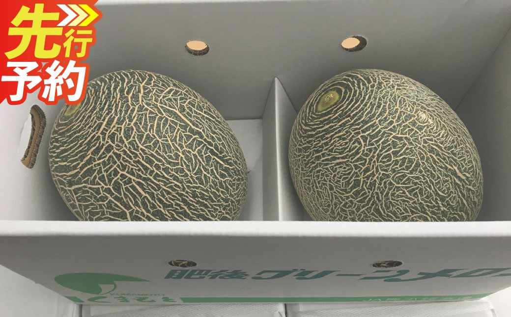 
                  ＜ R8年熊本地震復興支援 ＞熊本特産！肥後グリーンメロン 2玉入り メロン 特産 果物 フルーツ 【2027年5月下旬～6月下旬発送予定】
                