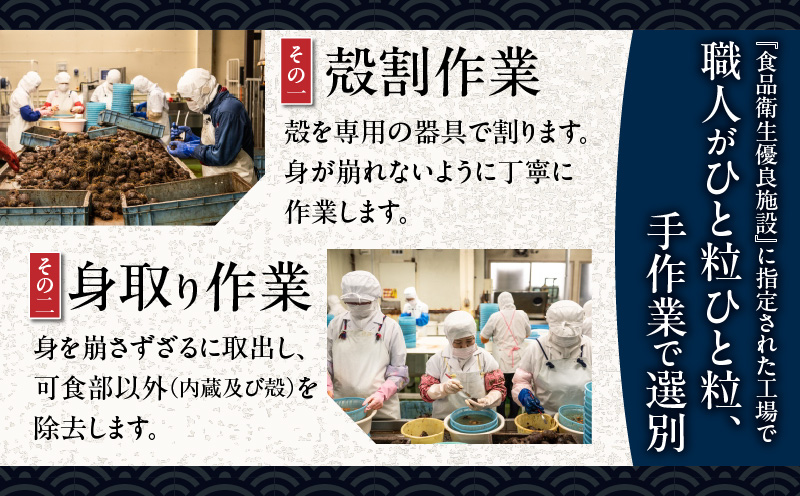 【10営業日以内に発送】北海道苫小牧産 ほっき貝 3kg（9～11個）　T032-001