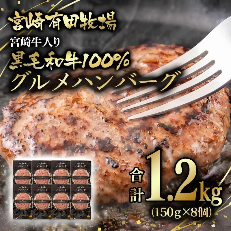 【世界グランプリ受賞】合計1.2kg！宮崎牛入り！宮崎県産黒毛和牛100%グルメハンバーグ150g×8 ＜14-14a＞