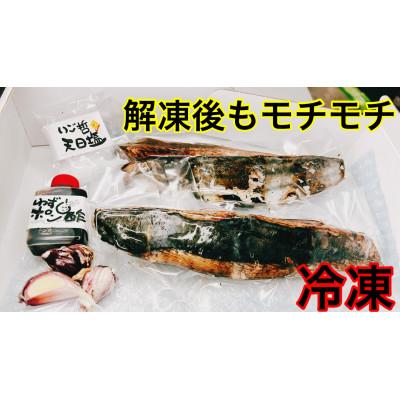 ふるさと納税 南国市 モチモチ食感!冷凍ビリかつおわら焼きたたき250g×2節(タレ・ニンニク付)