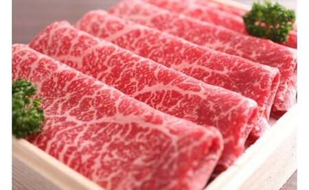 飛騨市推奨特産品　飛騨牛霜降り＆赤身すき焼きハーフ＆ハーフ1kg[K0021]